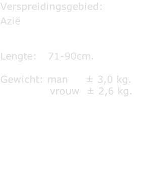Verspreidingsgebied:  Azië   Lengte:   71-90cm.  Gewicht: man     ± 3,0 kg.               vrouw  ± 2,6 kg.