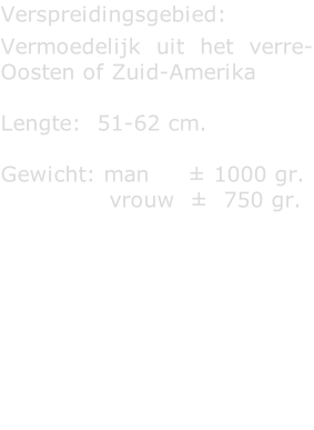 Verspreidingsgebied:   Vermoedelijk uit het verre-Oosten of Zuid-Amerika  Lengte:  51-62 cm.  Gewicht: man     ± 1000 gr.                vrouw  ±  750 gr.