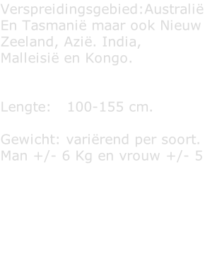 Verspreidingsgebied:Australië  En Tasmanië maar ook Nieuw Zeeland, Azië. India, Malleisië en Kongo.     Lengte:   100-155 cm.  Gewicht: variërend per soort. Man +/- 6 Kg en vrouw +/- 5