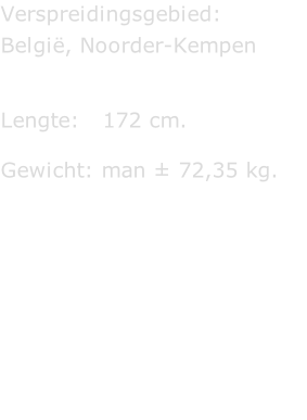 Verspreidingsgebied:  België, Noorder-Kempen   Lengte:   172 cm.  Gewicht: man ± 72,35 kg.